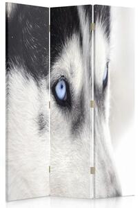 Paraván Sibiřský husky Rozměry: 110 x 170 cm, Provedení: Klasický paraván