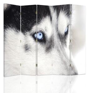Paraván Sibiřský husky Rozměry: 180 x 170 cm, Provedení: Klasický paraván
