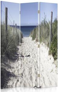 Paraván Cesta přes duny Rozměry: 110 x 170 cm, Provedení: Klasický paraván