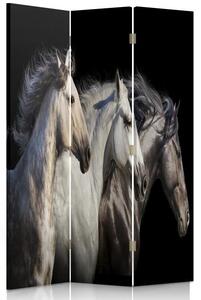 Paraván Tři koně Rozměry: 180 x 170 cm, Provedení: Klasický paraván