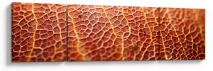 Obraz - Detail textury (170x50 cm)