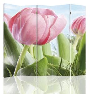 Paraván Svěží růžový tulipán Rozměry: 180 x 170 cm, Provedení: Klasický paraván