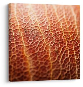 Obraz - Detail textury (30x30 cm)