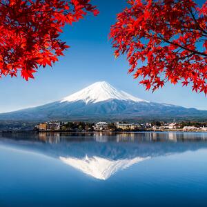Paraván Fuji a červené listy Rozměry: 110 x 170 cm, Provedení: Klasický paraván