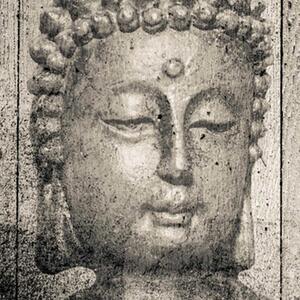Paraván Obrázek Buddhy v šedé barvě Rozměry: 180 x 170 cm, Provedení: Klasický paraván