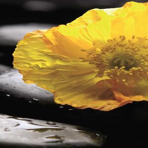 Paraván Zen se žlutým květem Rozměry: 110 x 170 cm, Provedení: Klasický paraván