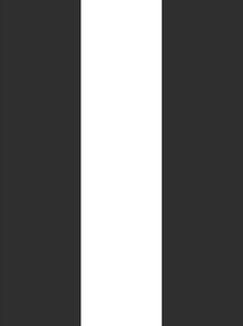 Vliesová tapeta na zeď černé a bílé pruhy 139111, Black & White, Esta