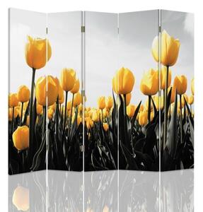Paraván Louka žlutých tulipánů Velikost: 180 x 170 cm, Provedení: Klasický paraván