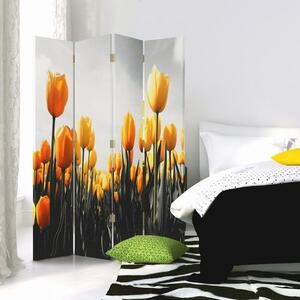 Paraván Louka žlutých tulipánů Rozměry: 145 x 170 cm, Provedení: Klasický paraván