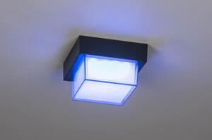 Stropní venkovní designové LED svítidlo Tom Colored Black (LMD)