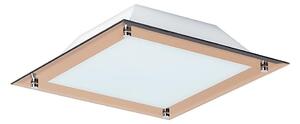 Rabalux 3045 - LED Stropní svítidlo LARS 1xLED/12W/230V