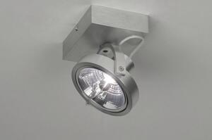 Stropní nebo nástěnné bodové svítidlo Spot Future Silver I (LMD)
