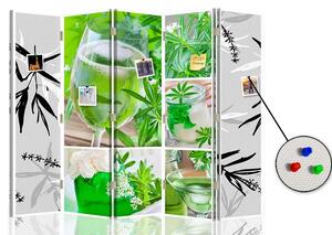 Paraván Zelené občerstvení Rozměry: 180 x 170 cm, Provedení: Klasický paraván