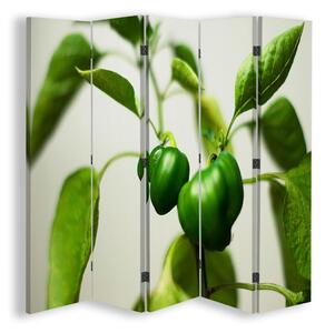 Paraván Zelená paprika na větvi Rozměry: 180 x 170 cm, Provedení: Klasický paraván