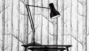 Stolní lampa Type 75 Black (Anglepoise)