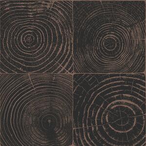 Černo-hnědá vliesová tapeta, imitace dřeva s letokruhy 347550, Matières - Wood, Origin