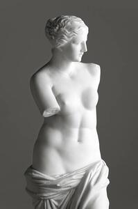 Umělecká fotografie Venus de Milo on grey, 221A, (26.7 x 40 cm)