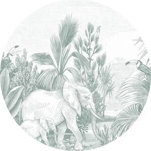 Samolepící kruhová obrazová tapeta Džungle, sloni 159076, průměr 70 cm, Forest Friends, Esta