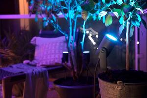 PHILIPS HUE Zahradní bodové LED stmívatelné svítidlo HUE LILY s funkcí RGB, 8W, teplá bílá-studená bílá, IP65 1742830P7