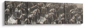 Obraz - Stádo pakoňů (170x50 cm)