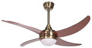Stropní ventilátor se světlem CHACANA s dálkovým ovládáním LED Mosazná