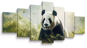 Obraz - Panda (210x100 cm)