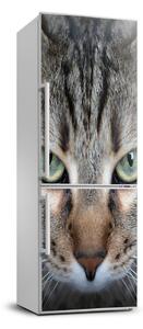 Nálepka fototapeta lednička Oči kočky FridgeStick-70x190-f-114220094