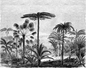 Vliesová černobílá obrazová tapeta - džungle, palmy 158952, 350x279cm, Paradise, Esta