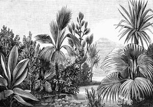 Vliesová černobílá obrazová tapeta - džungle, palmy 158953, 350x279cm, Paradise, Esta