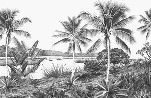 Vliesová obrazová tapeta - krajina, palmy - 357224, 418,5x279cm, Precious, Origin