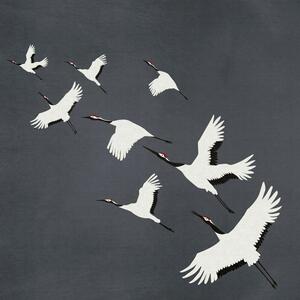 Vliesová šedá obrazová tapeta ptáci v letu - 357235, 300 x 300 cm, Natural Fabrics, Origin