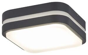 RABALUX Venkovní LED nástěnné svítidlo HAMBURG, 10W, denní bílá, antracitové, IP44 008849