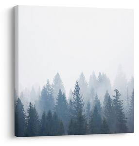Obraz - Zamlžený les (30x30 cm)