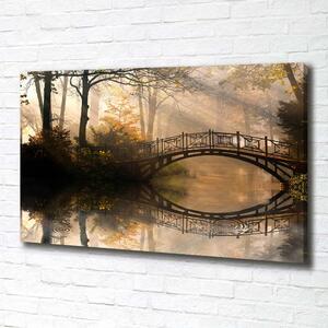 Foto obraz na plátně do obýváku Starý most podzim pl-oc-100x70-f-44630410