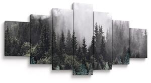 Obraz - Les s ilustrovanými prvky (210x100 cm)