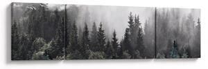 Obraz - Les s ilustrovanými prvky (170x50 cm)
