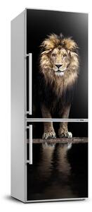 Foto tapeta na ledničku Portrét lva FridgeStick-70x190-f-118199528