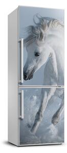 Samolepící nálepka na ledničku Bílý kůň FridgeStick-70x190-f-118288885