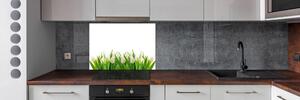 Panel do kuchyně Bílé tulipány pl-pksh-100x70-f-30153186