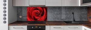 Panel do kuchyně Kapky na růži pl-pksh-100x70-f-37464697