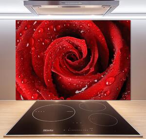 Panel do kuchyně Kapky na růži pl-pksh-100x70-f-37464697