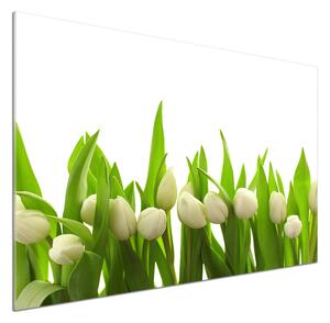 Panel do kuchyně Bílé tulipány pl-pksh-100x70-f-40774643