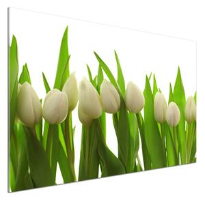 Panel do kuchyně Bílé tulipány pl-pksh-100x70-f-40774671