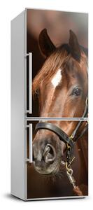 Nálepka fototapeta lednička Portrét koně FridgeStick-70x190-f-118893601