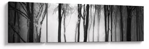 Obraz - Vlk v temném lese (170x50 cm)