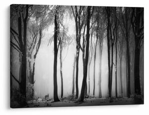 Obraz - Vlk v temném lese (70x50 cm)