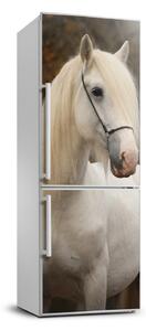 Nálepka fototapeta lednička Bílý kůň XL FridgeStick-70x190-f-20279247