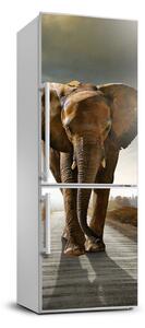 Nálepka fototapeta lednička Chodící slon XL FridgeStick-70x190-f-25742331