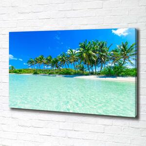 Foto obraz na plátně Tropická pláž pl-oc-100x70-f-99365379