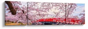 Obraz - Hirosaki, Japonsko (170x50 cm)